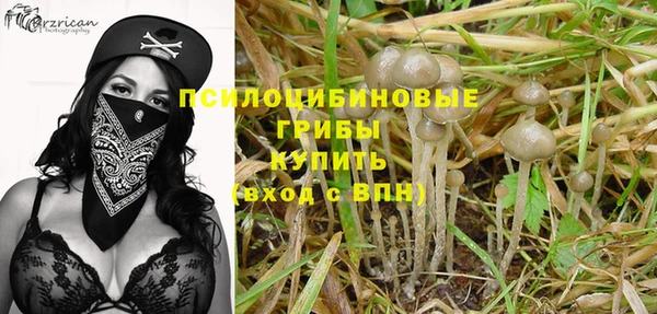 таблы Алексин