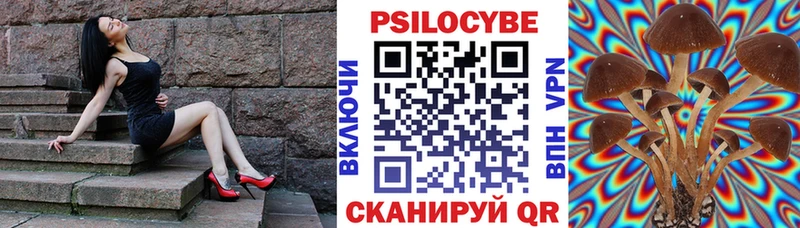 Псилоцибиновые грибы мухоморы  дарк нет состав  mega рабочий сайт  Весьегонск  сколько стоит 